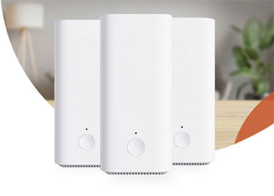 Wall-to-Wall-WIFI